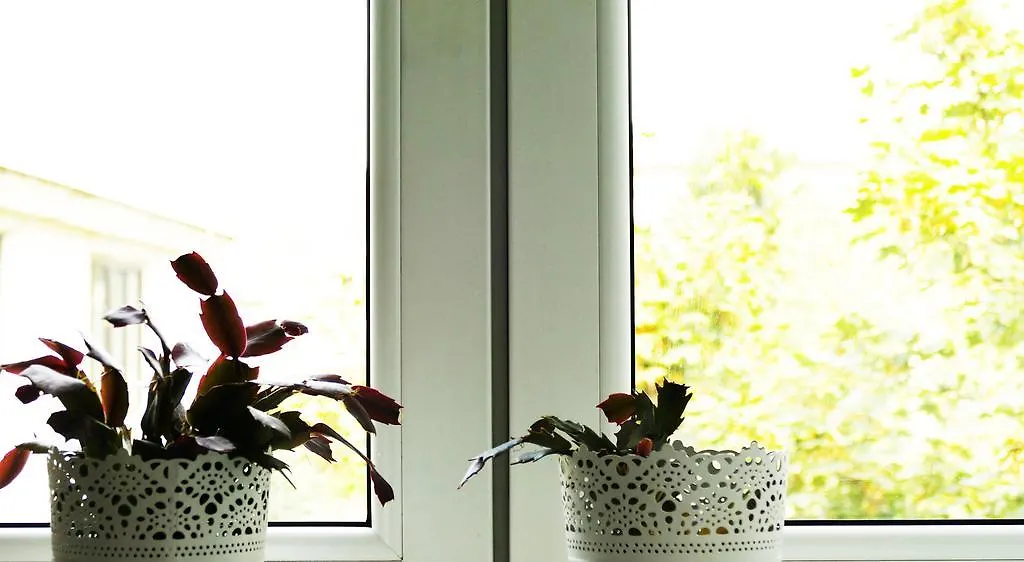 Apartment Trappelgasse Viena